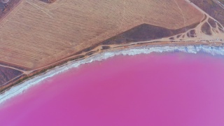Крымское чудо – Розовое озеро