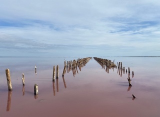 Уникальное Розовое озеро в сентябре!